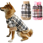 Casaco Pet Kenie