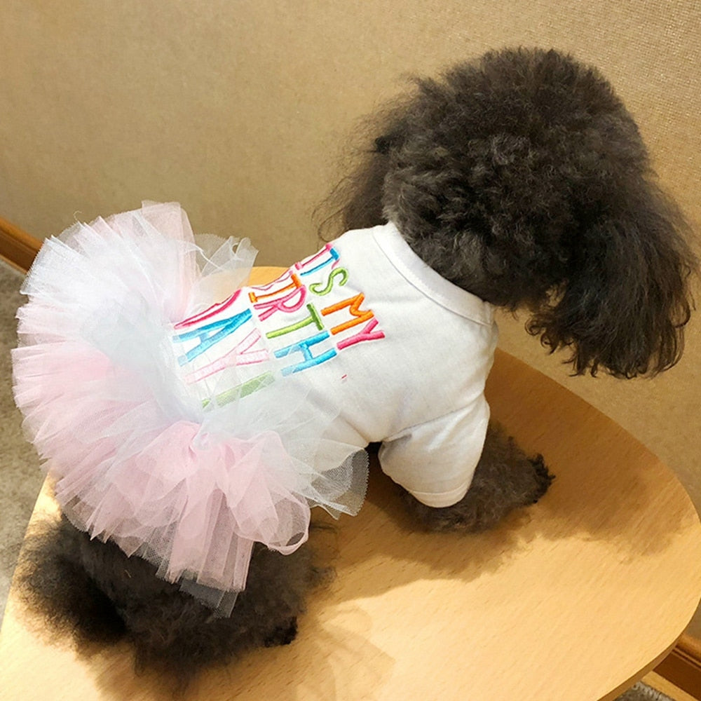 Birthday Dress Day 