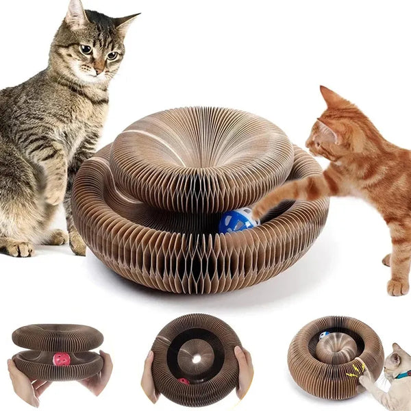 Brinquedo Disco Arranhador com Bolinha Armek para Cachorro - Pet Croc