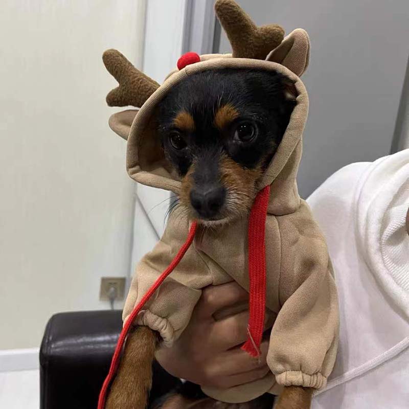 Pet Reindeer Sweatshirt