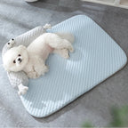 Pet Bed Cloud