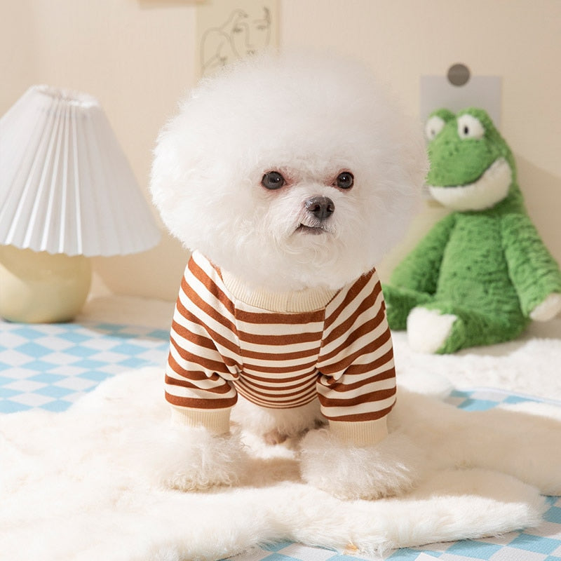 Macacão Pet Little Bear