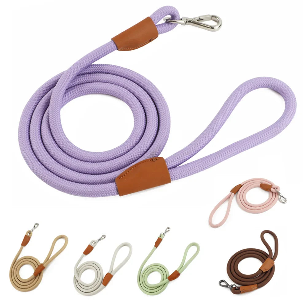 Hammes Pet Guide