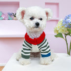 Lionzi Pet Knit 