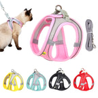 Hamie Pet Collar &amp; Leash