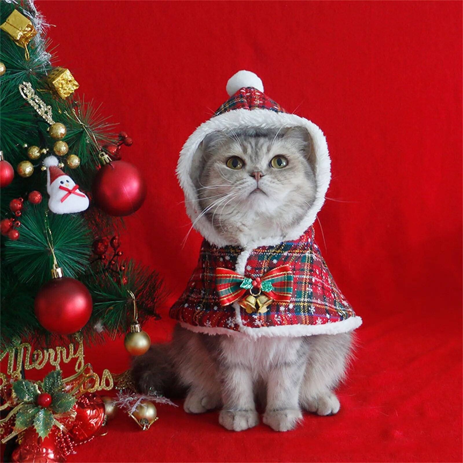 Magical Christmas Pet Cover