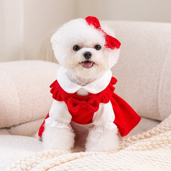 Vestido &/ou Blusa &/ou Conjunto Emelini para Cachorro - Pet Croc