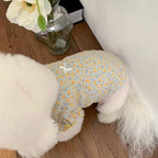 Pet Amandita Blouse