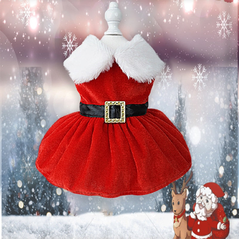 Christmas Pet Dress 