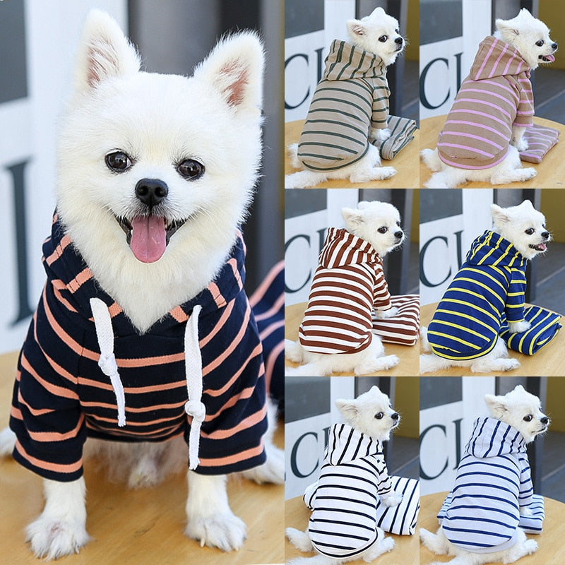 Pet Antunes sweatshirt