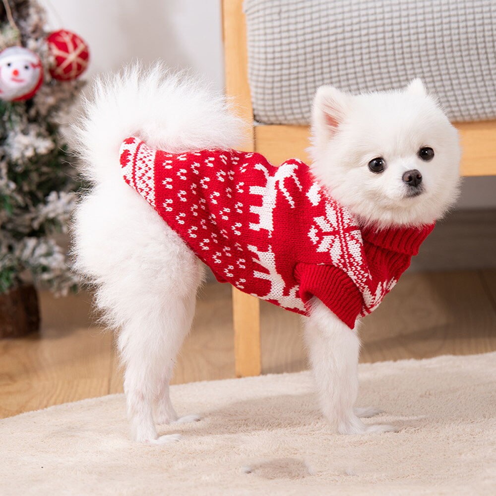 Pimpu Christmas Knitting 