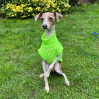 Pet Vani Blouse