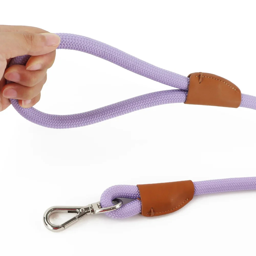 Hammes Pet Guide