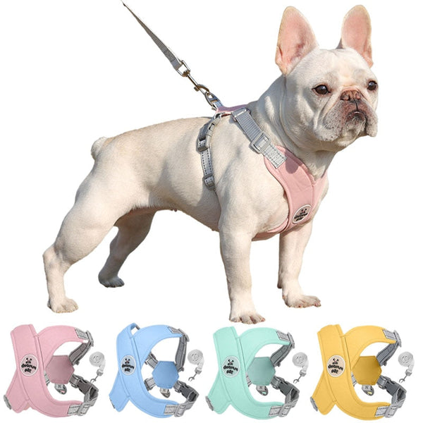 Kit Coleira Peitoral & Guia Pet Lizz - Pet Croc