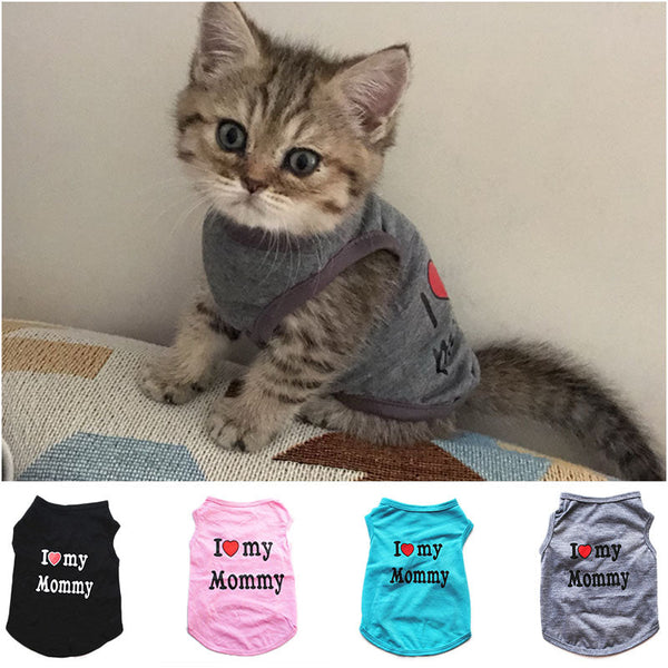Blusa Pet Family - Pet Croc