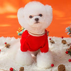 Adorable Christmas Knitted Pet 