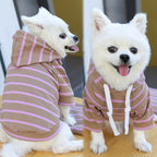 Pet Antunes sweatshirt