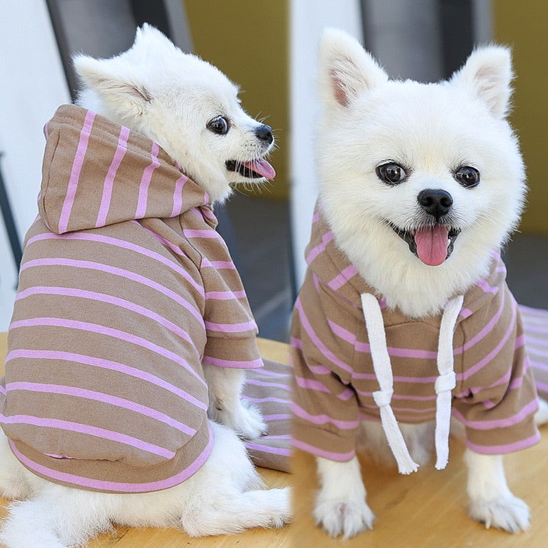 Pet Antunes sweatshirt