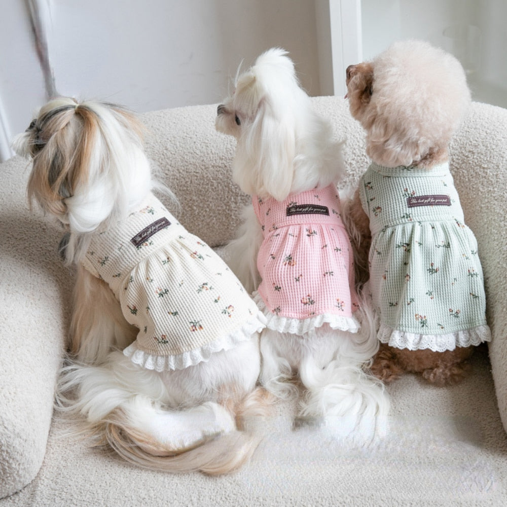 Gessi Pet Dress 
