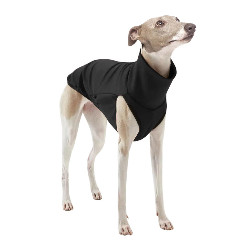 Pet Clothes for Galguinho