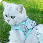 Hamie Pet Collar &amp; Leash