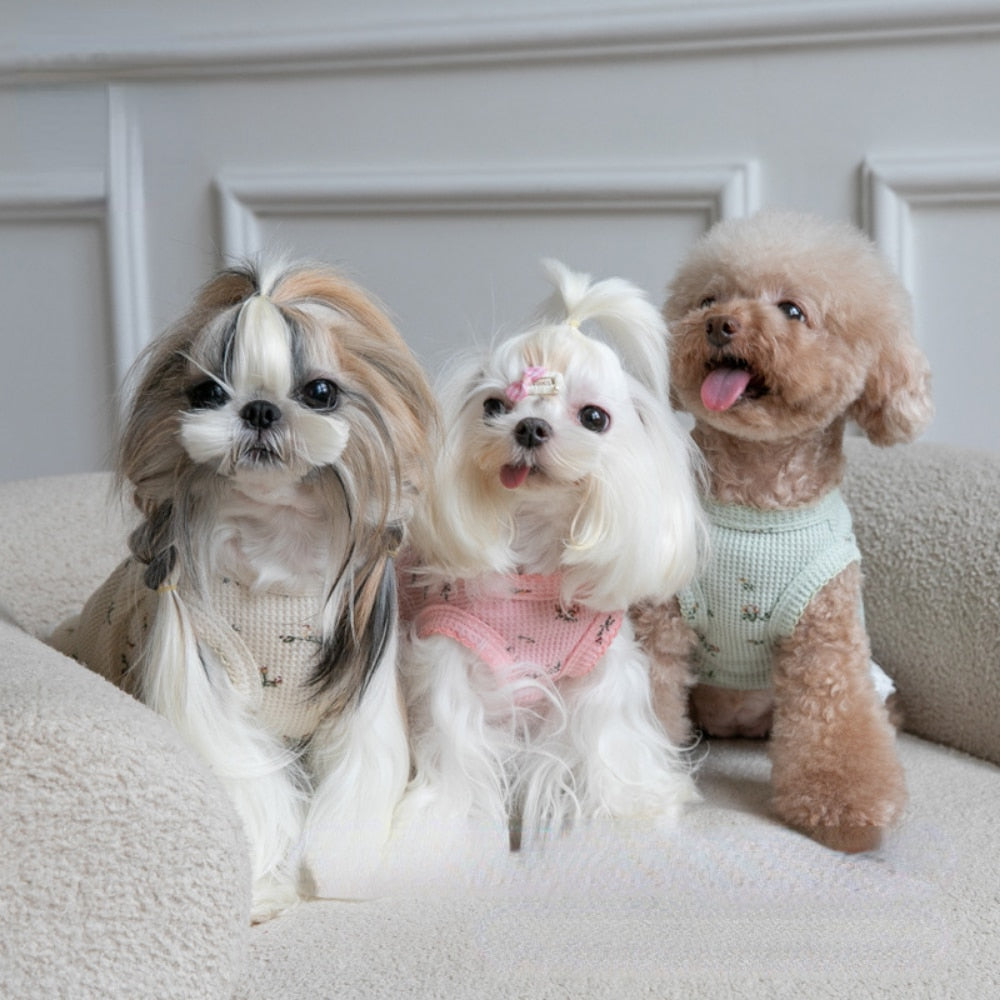 Gessi Pet Dress 