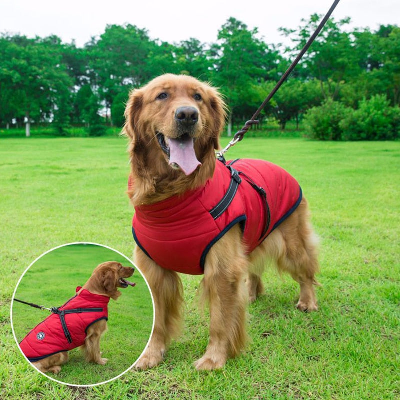 VIP Waterproof Vest
