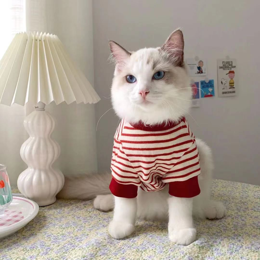 Lilo Pet Sweatshirt 
