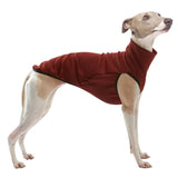 Pet Clothes for Galguinho