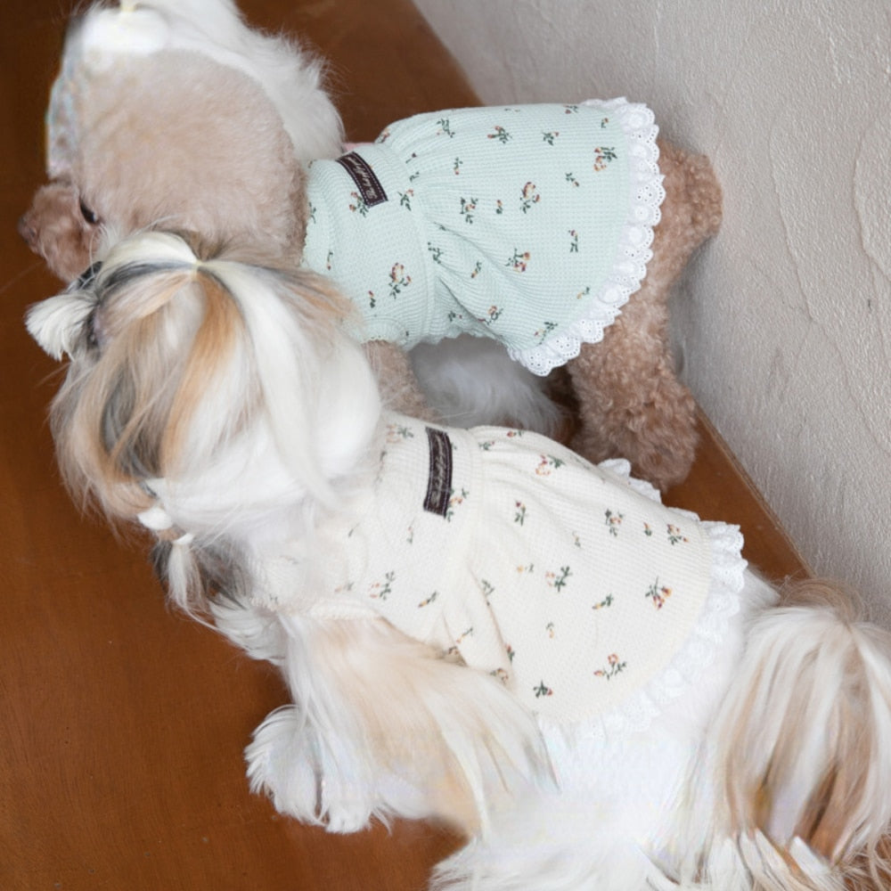 Gessi Pet Dress 