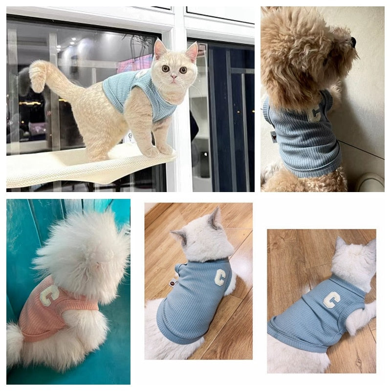 Pet Cece Tank Top 