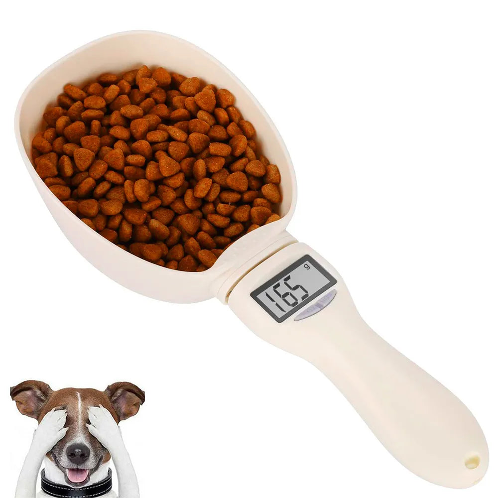 Digital Food Scale