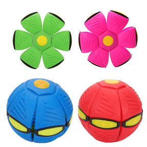 Bola Mágica Disco Voador com LED para Pets