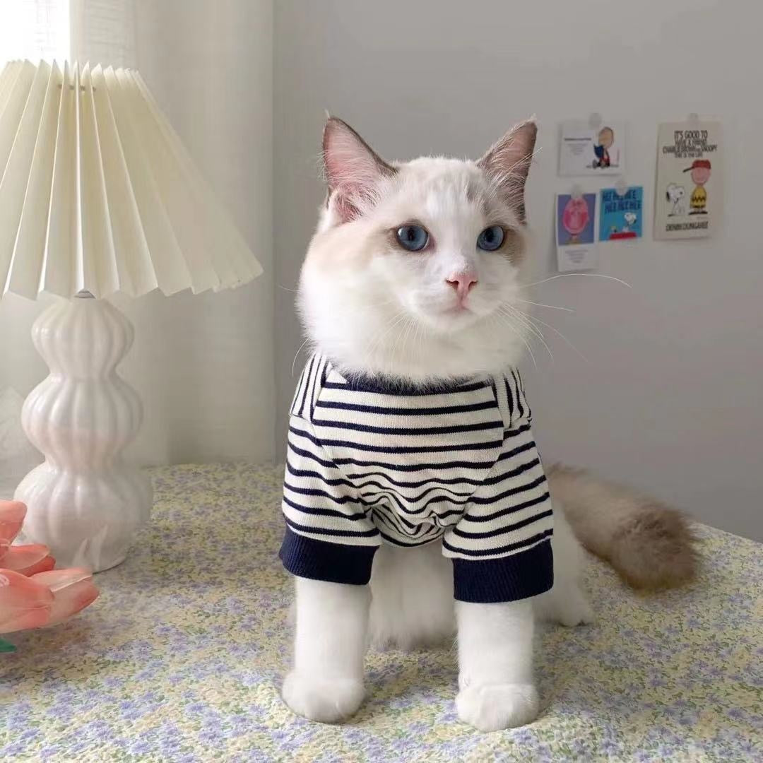 Lilo Pet Sweatshirt 
