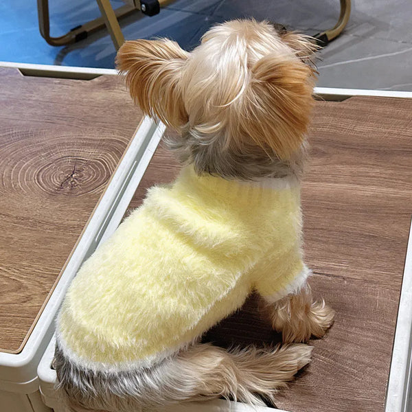 Tricot Pet Lulume - Pet Croc