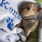 Zimy Personalized Pet Blanket