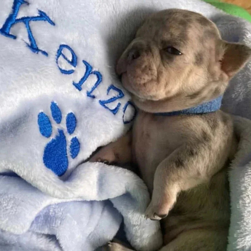 Zimy Personalized Pet Blanket