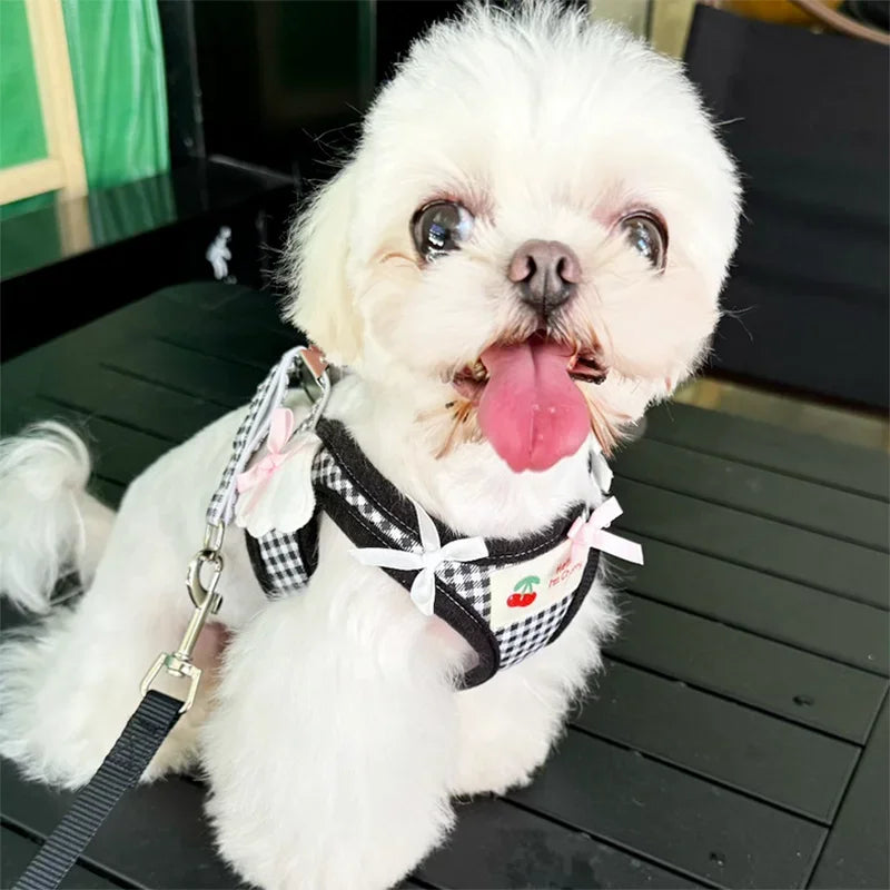 Kit Coleira & Guia Pet Cerejinha