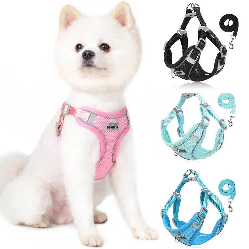 Coleira Peitoral & Guia Resistente Sofity