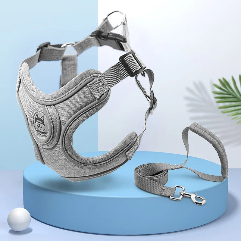 Maguili Pet Collar &amp; Leash Kit 