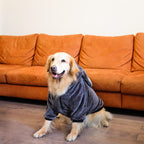 Cute Adventure Sweatshirt 