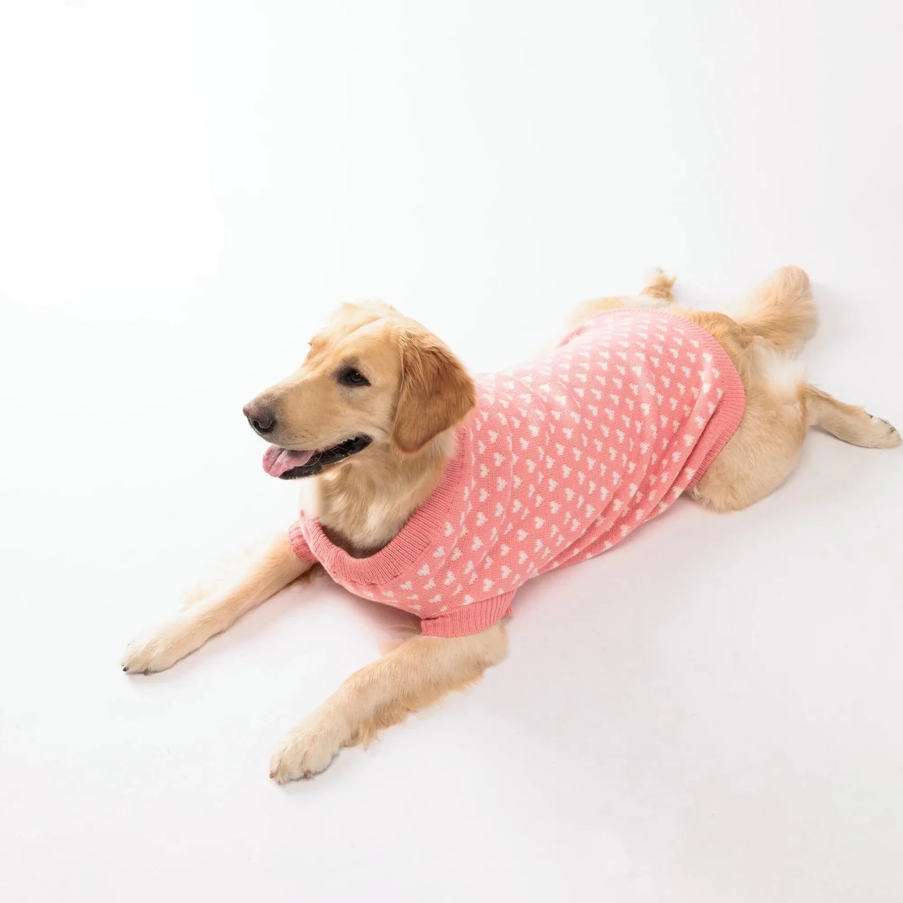 Tricot Pet Vilma