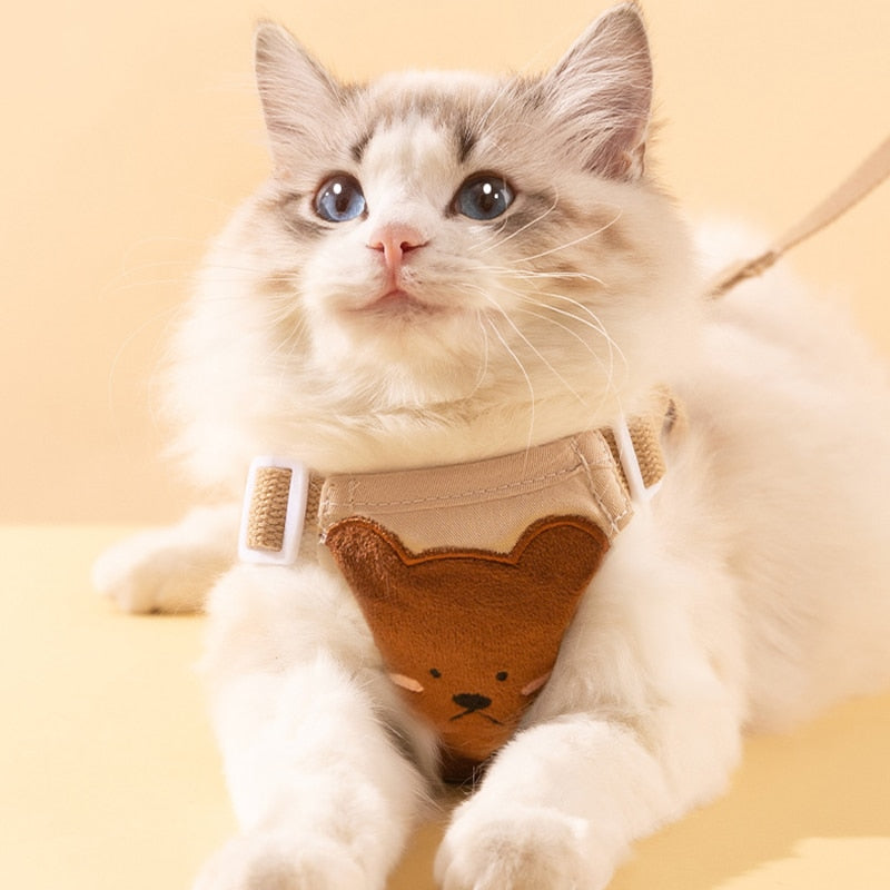 Coleira & Guia Resistente Pet Zilo