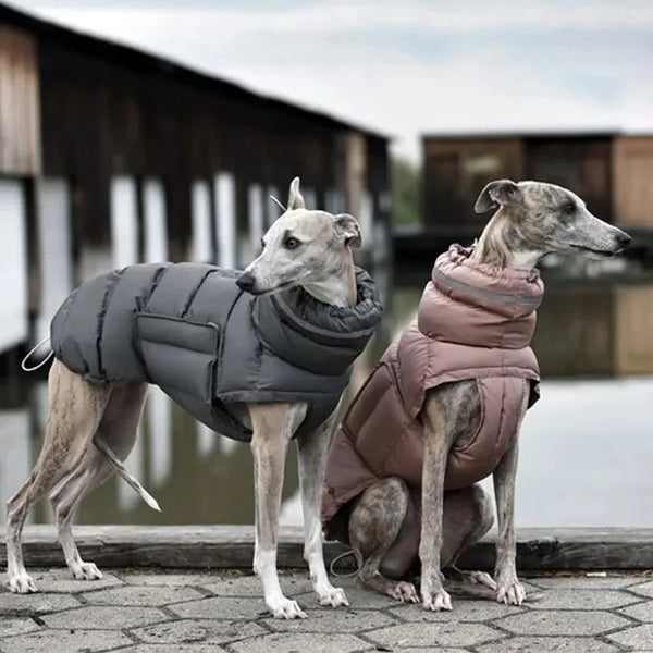 Colete Fofo Aliss para Cachorro - Pet Croc