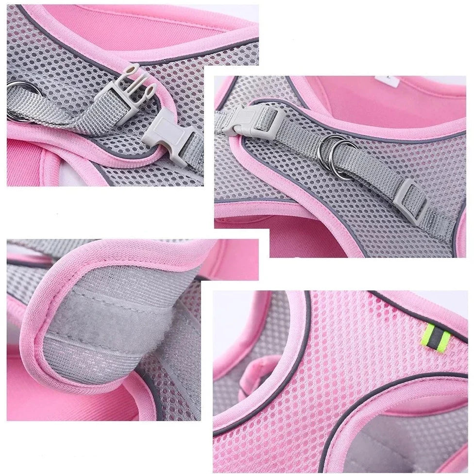 Hamie Pet Collar &amp; Leash