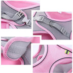 Hamie Pet Collar &amp; Leash