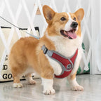 Maguili Pet Collar &amp; Leash Kit 