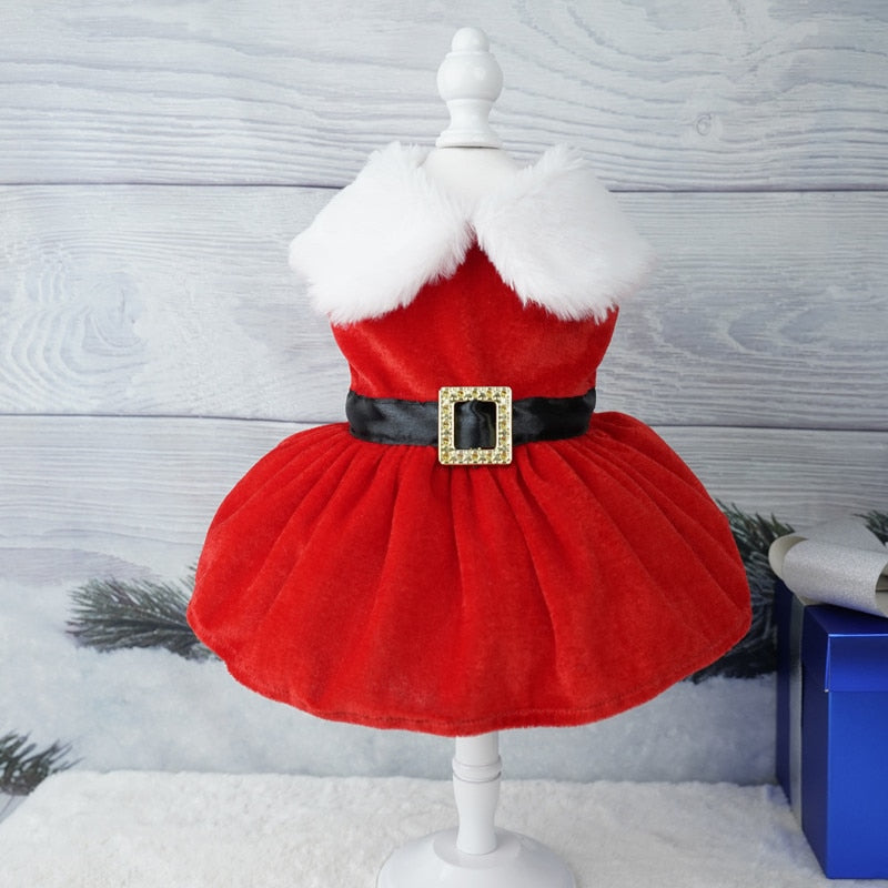 Christmas Pet Dress 