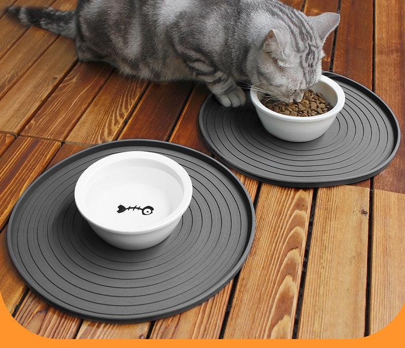 Silicone Clean Mat 