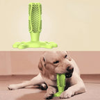Dog Chew Toy - LimpaDente™